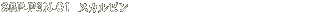 SBR-PIN-01 XJs